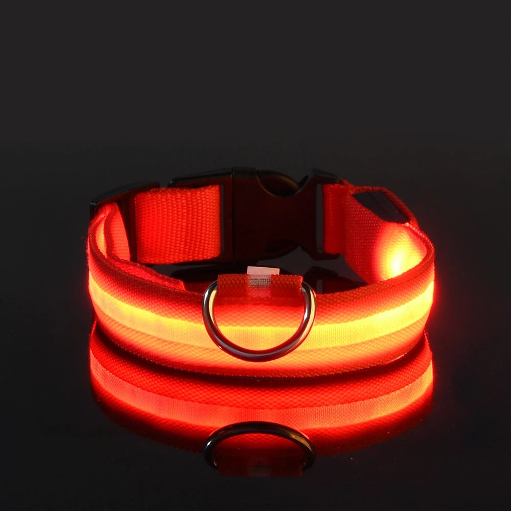 Nylon LED