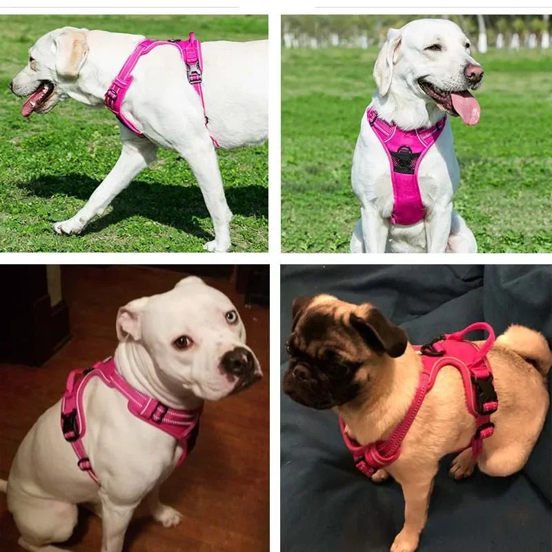 Pet  Harness Reflective
