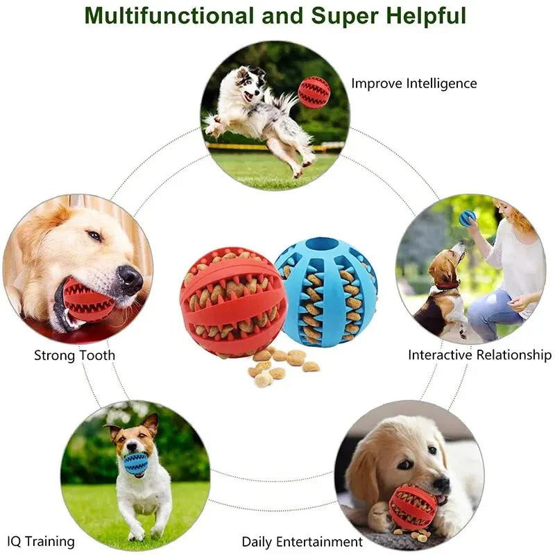 Interactive Treat Ball Toy