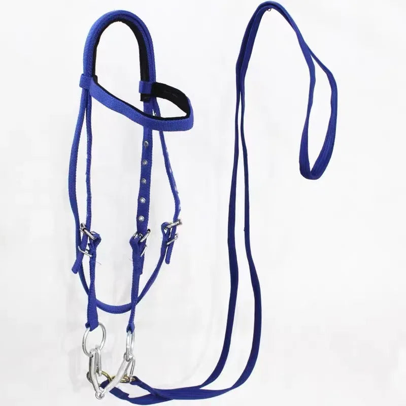 Horse Bridle Harness Set