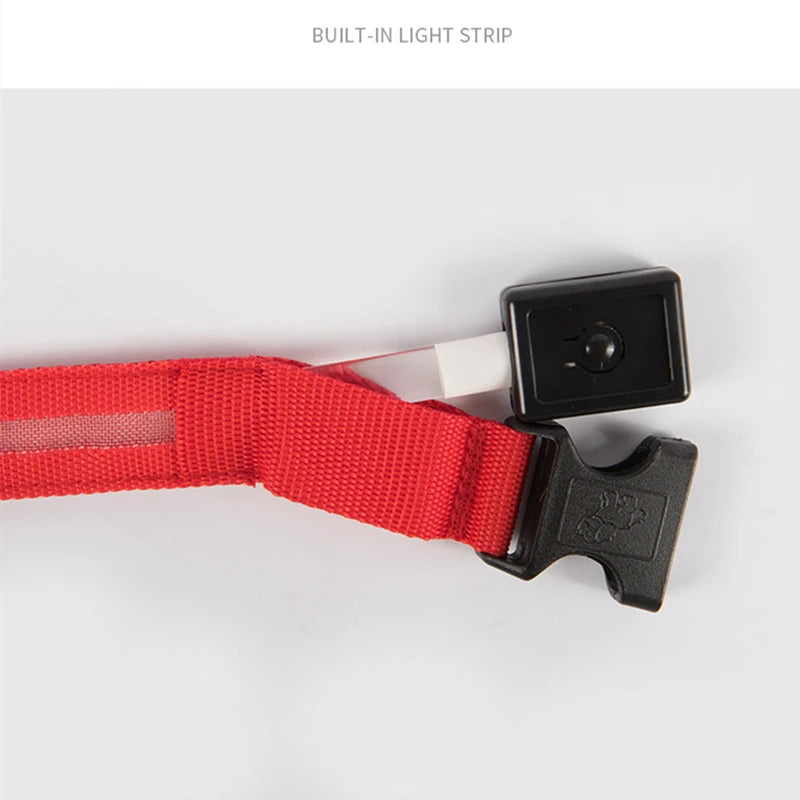 Luminous Collar