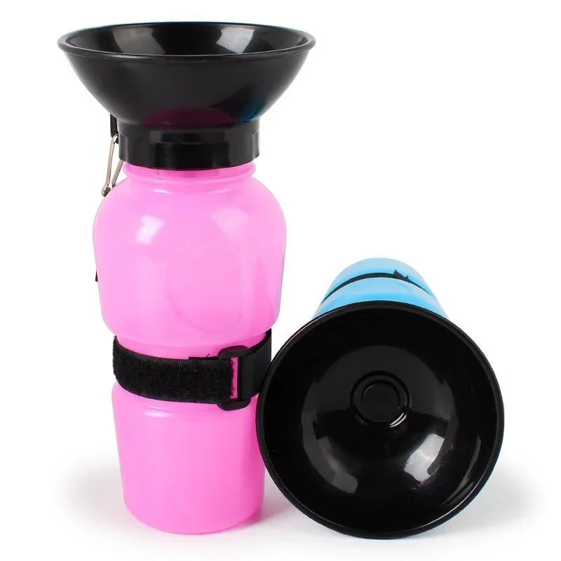 Portable Water Bottle