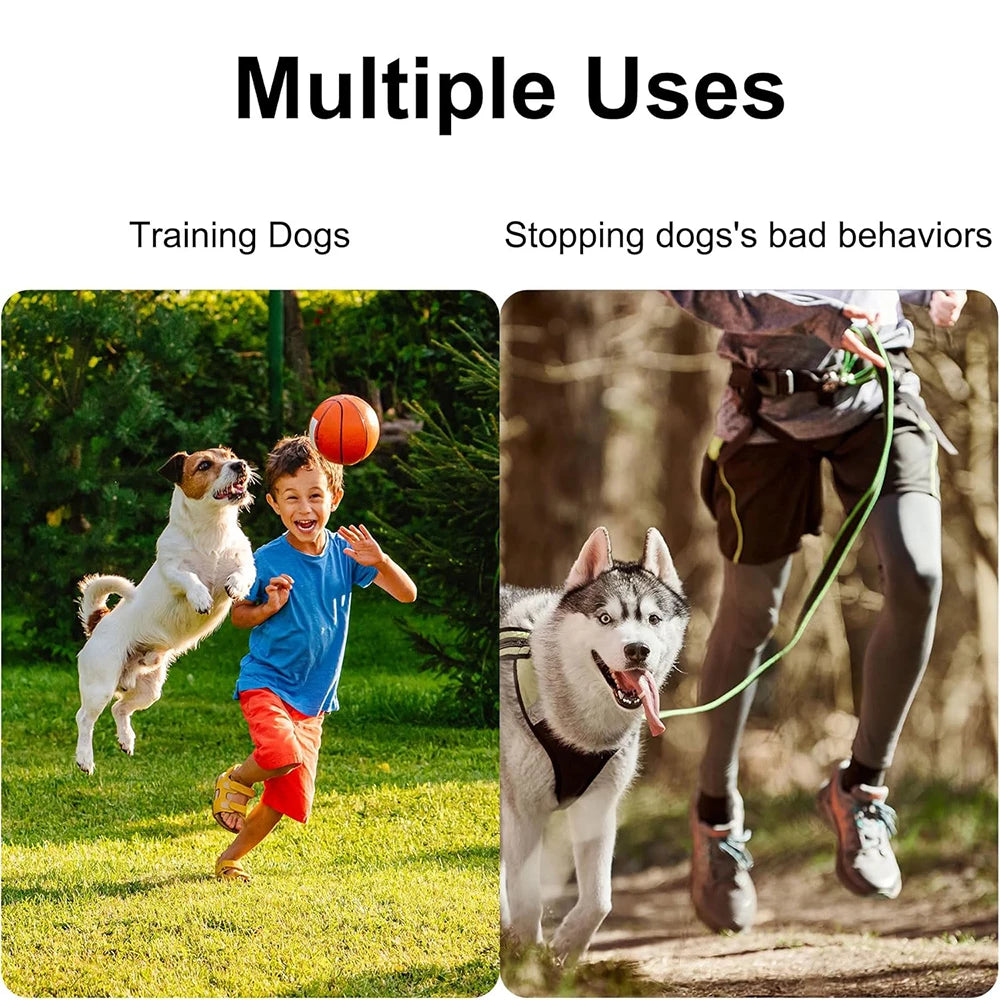 Pet Training Whistle