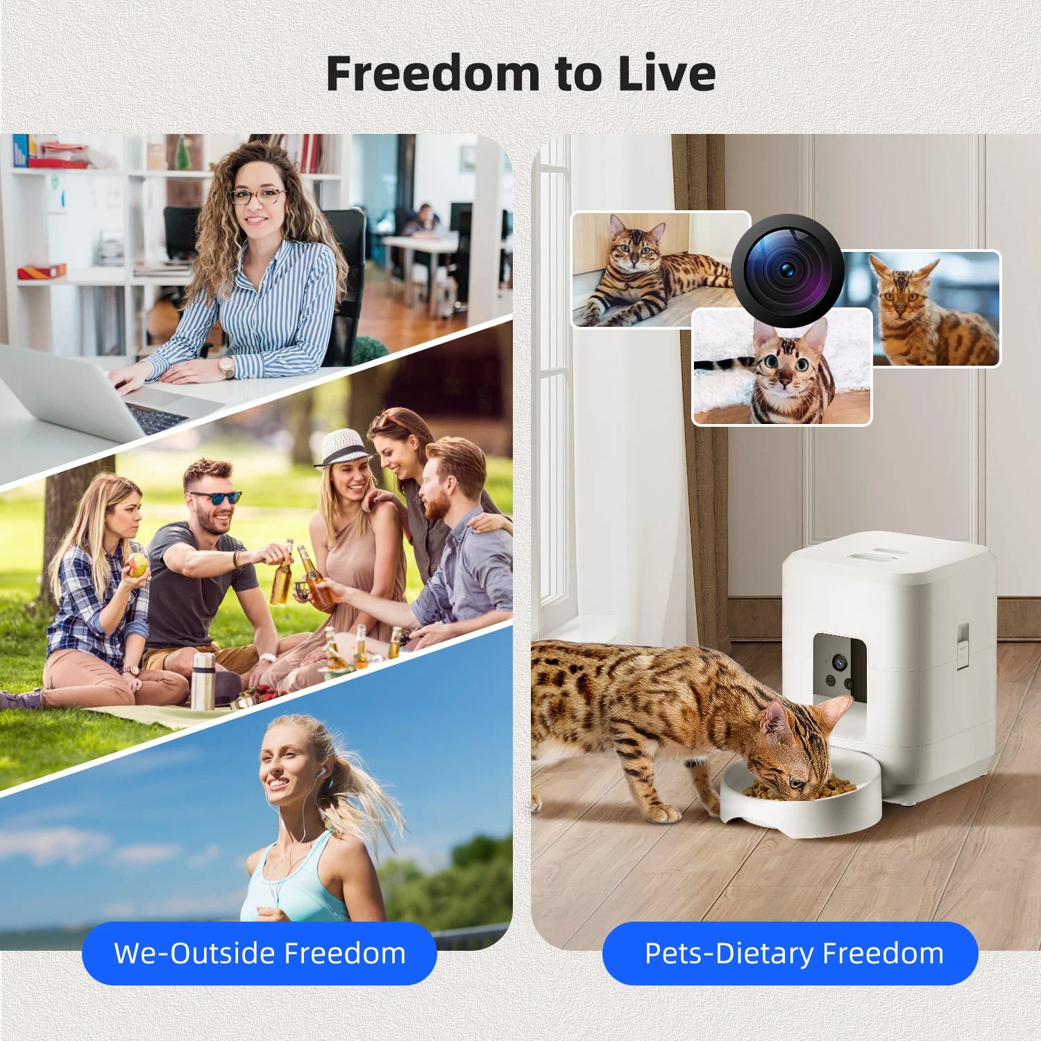 Automatic Pet Feeder