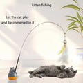 Cat funny cat stick