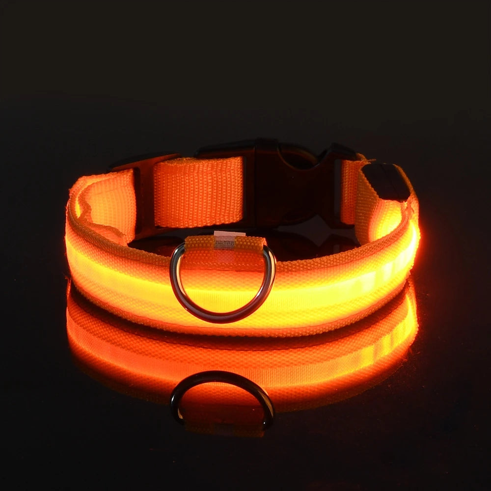 Nylon LED