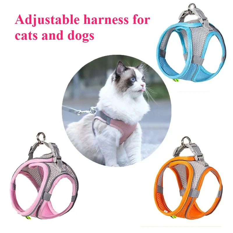 Toys for Aggressive Chewers Cats Dogs