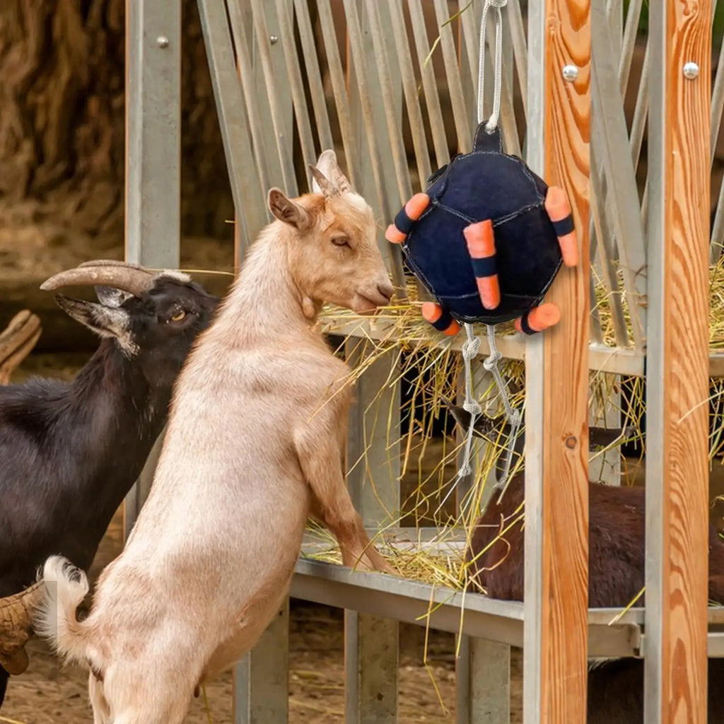 Horse Interactive Carrot Training