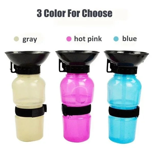 Portable Water Bottle