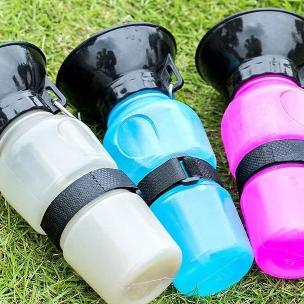 Portable Water Bottle