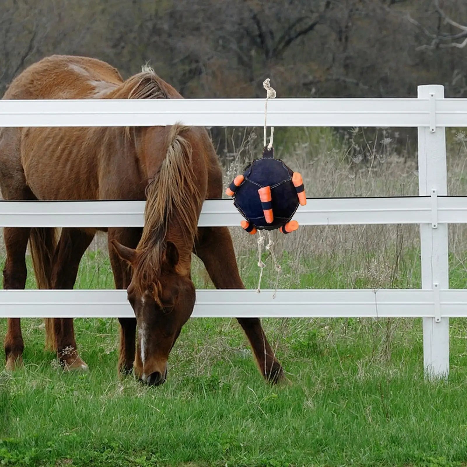 Horse Interactive Carrot Training
