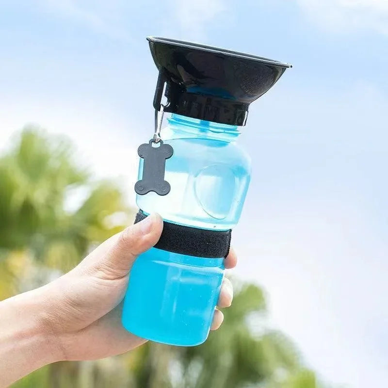 Portable Water Bottle