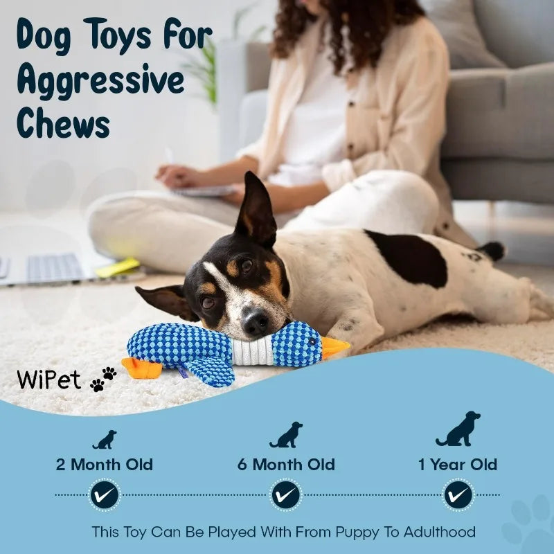 Toys for Aggressive Chewers Cats Dogs