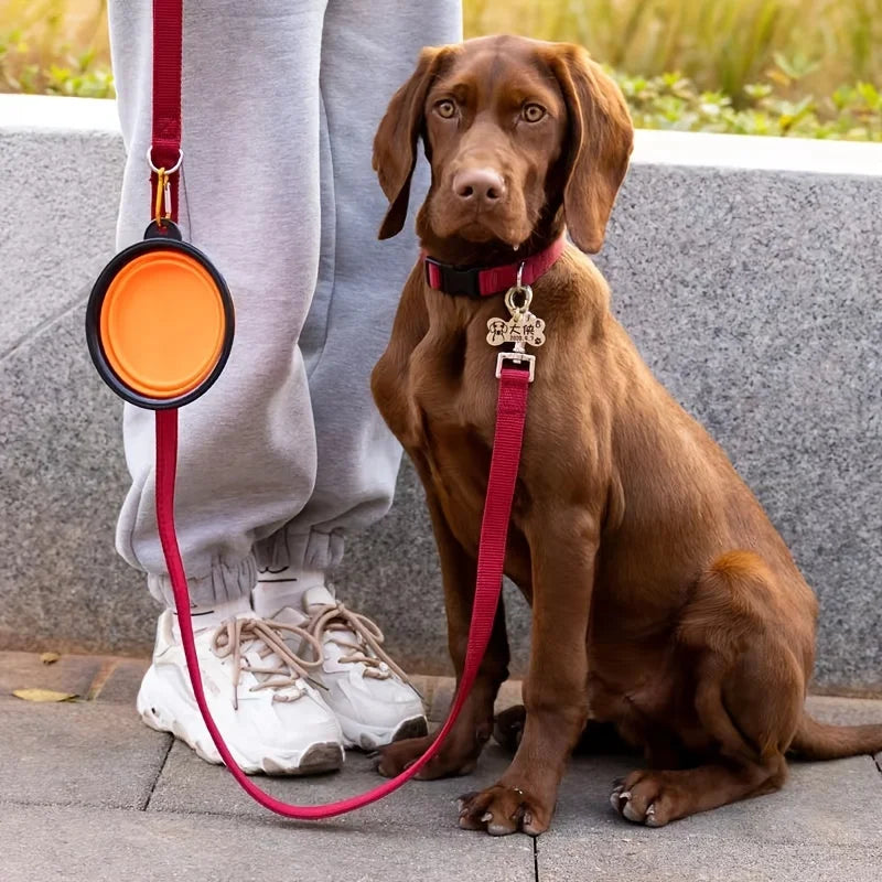 Portable Food Bowl