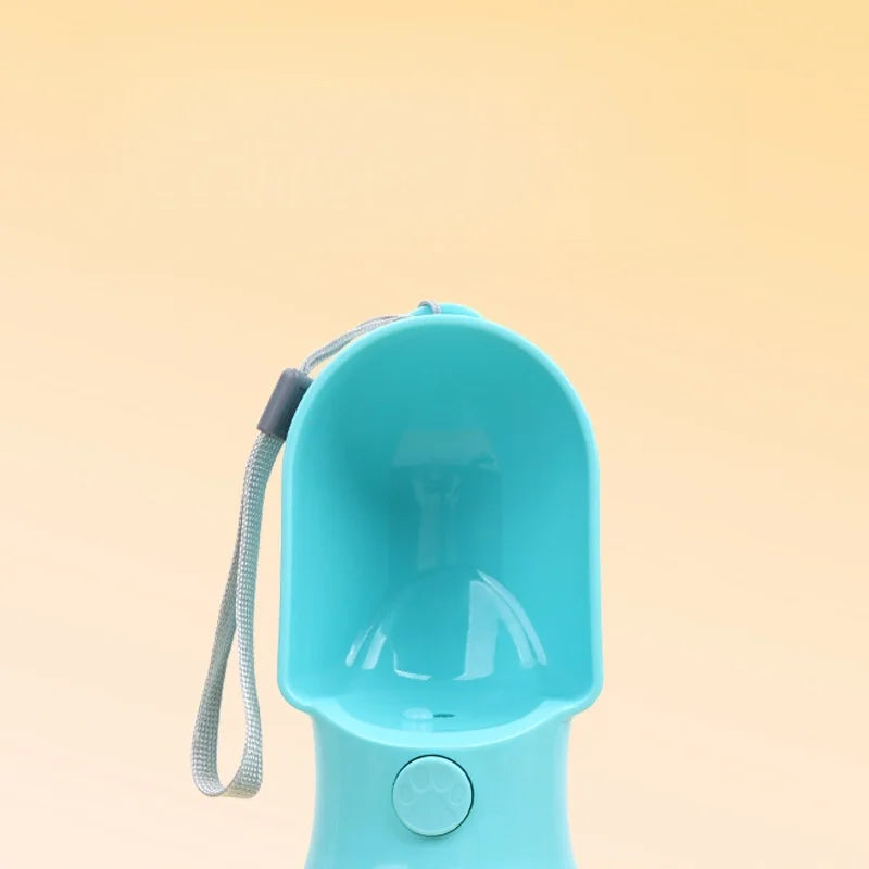 Water Bottle