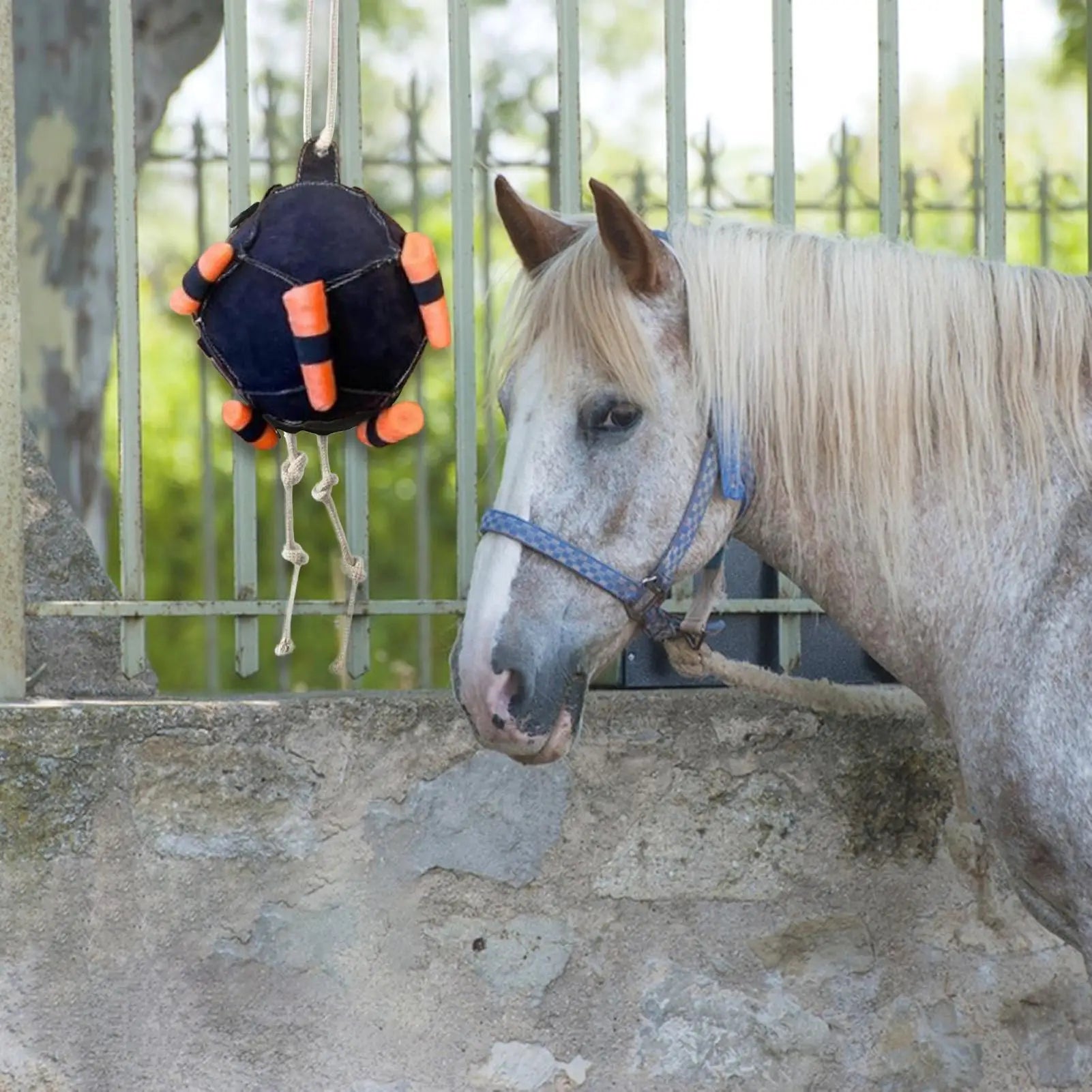 Horse Interactive Carrot Training