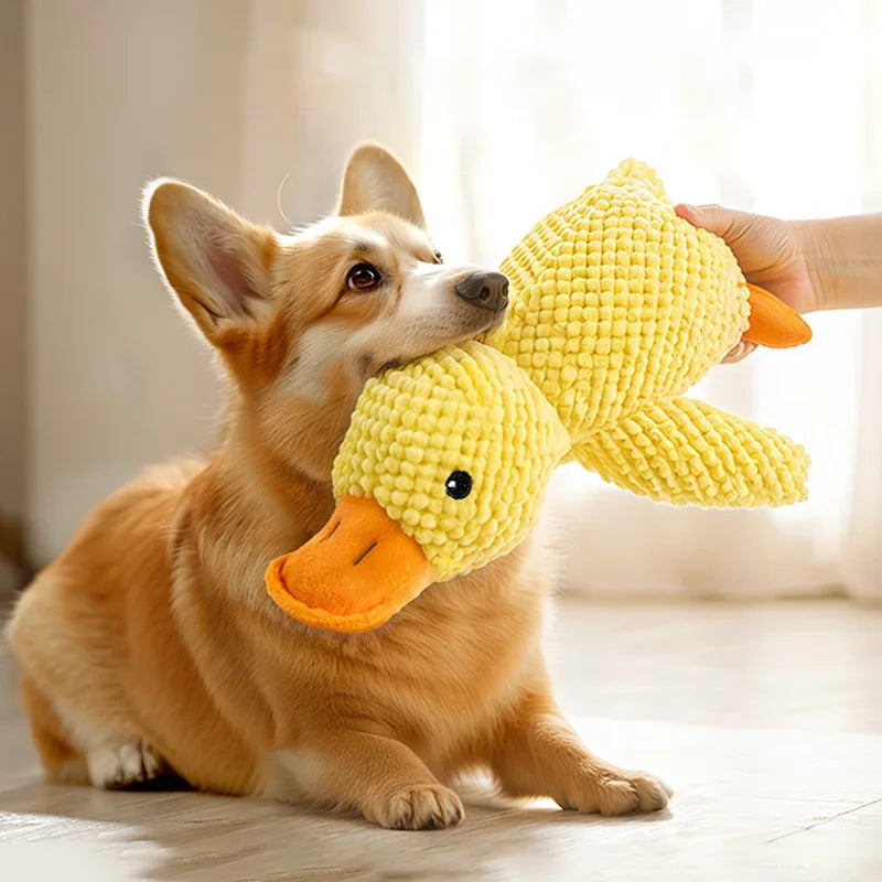 Toys for Aggressive Chewers Cats Dogs