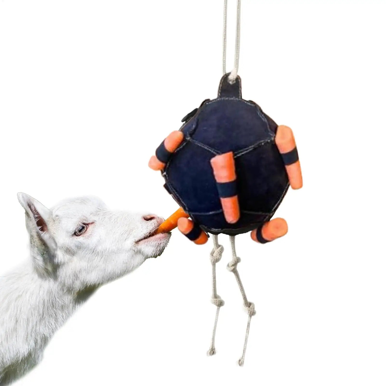 Horse Interactive Carrot Training