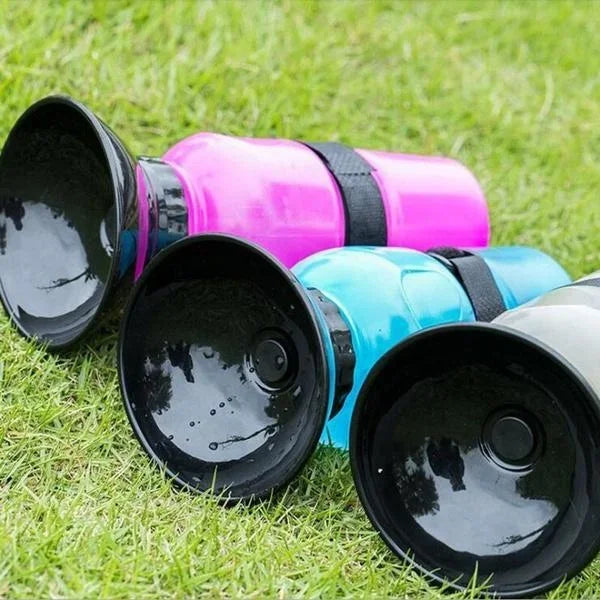 Portable Water Bottle