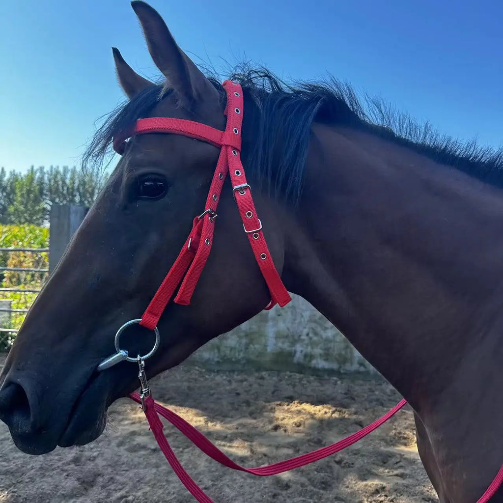 Horse Bridle Harness Set