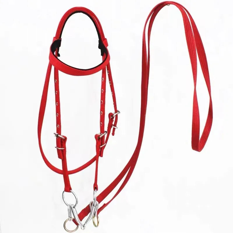 Horse Bridle Harness Set