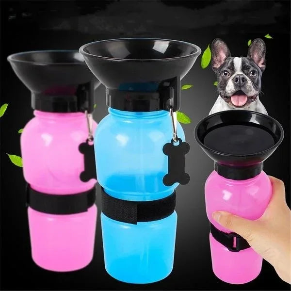 Portable Water Bottle