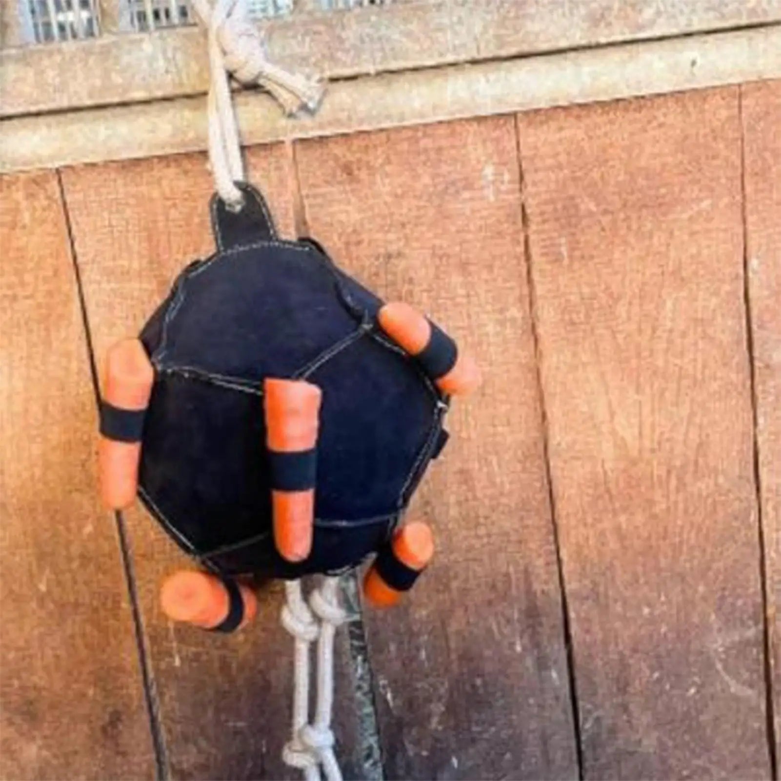 Horse Interactive Carrot Training