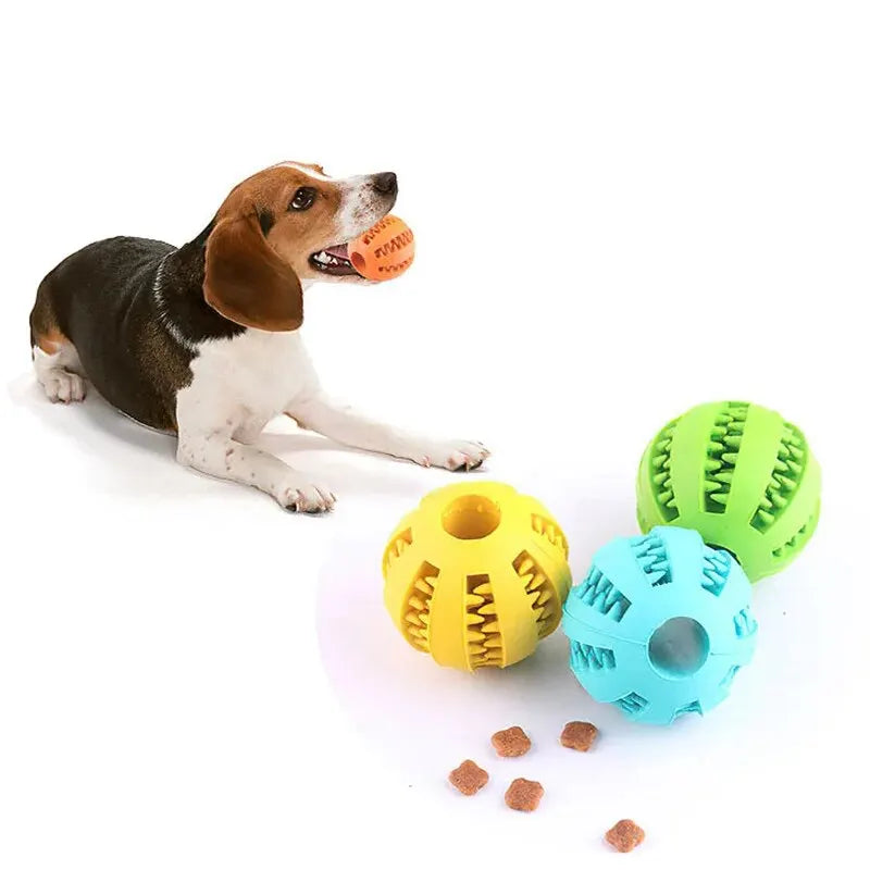 Interactive Treat Ball Toy