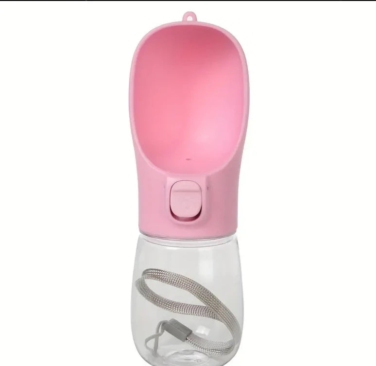 Water Bottle