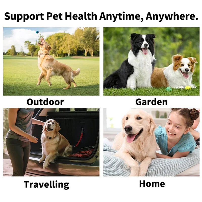 Pet Toothbrush Pet