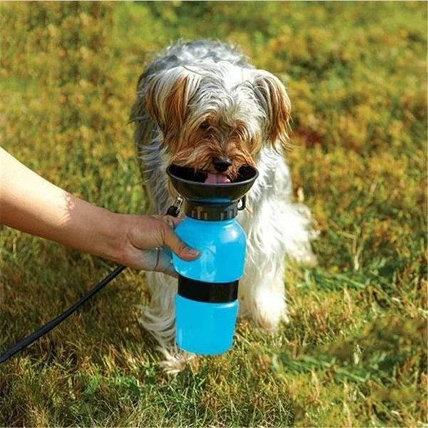 Portable Water Bottle
