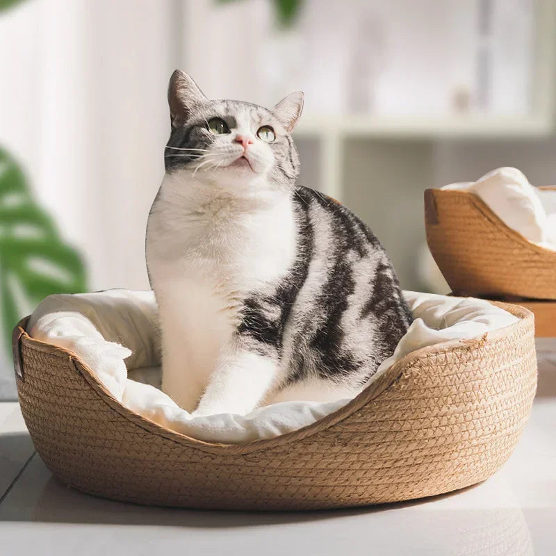 Cozy Pet  Bed