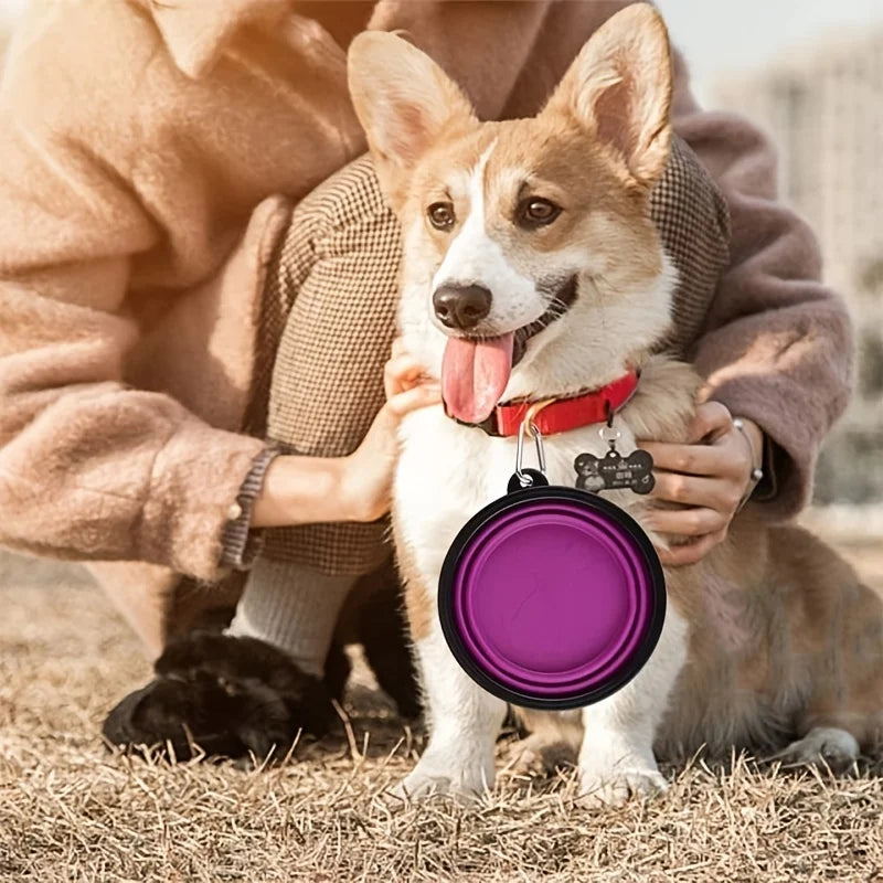 Portable Food Bowl