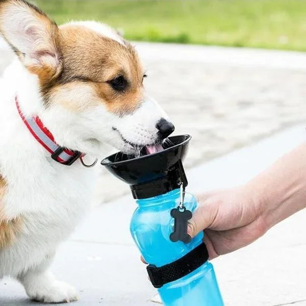 Portable Water Bottle