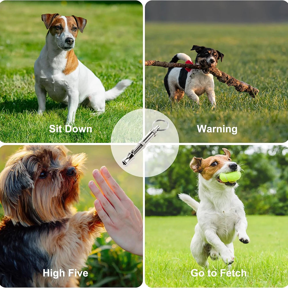 Pet Training Whistle