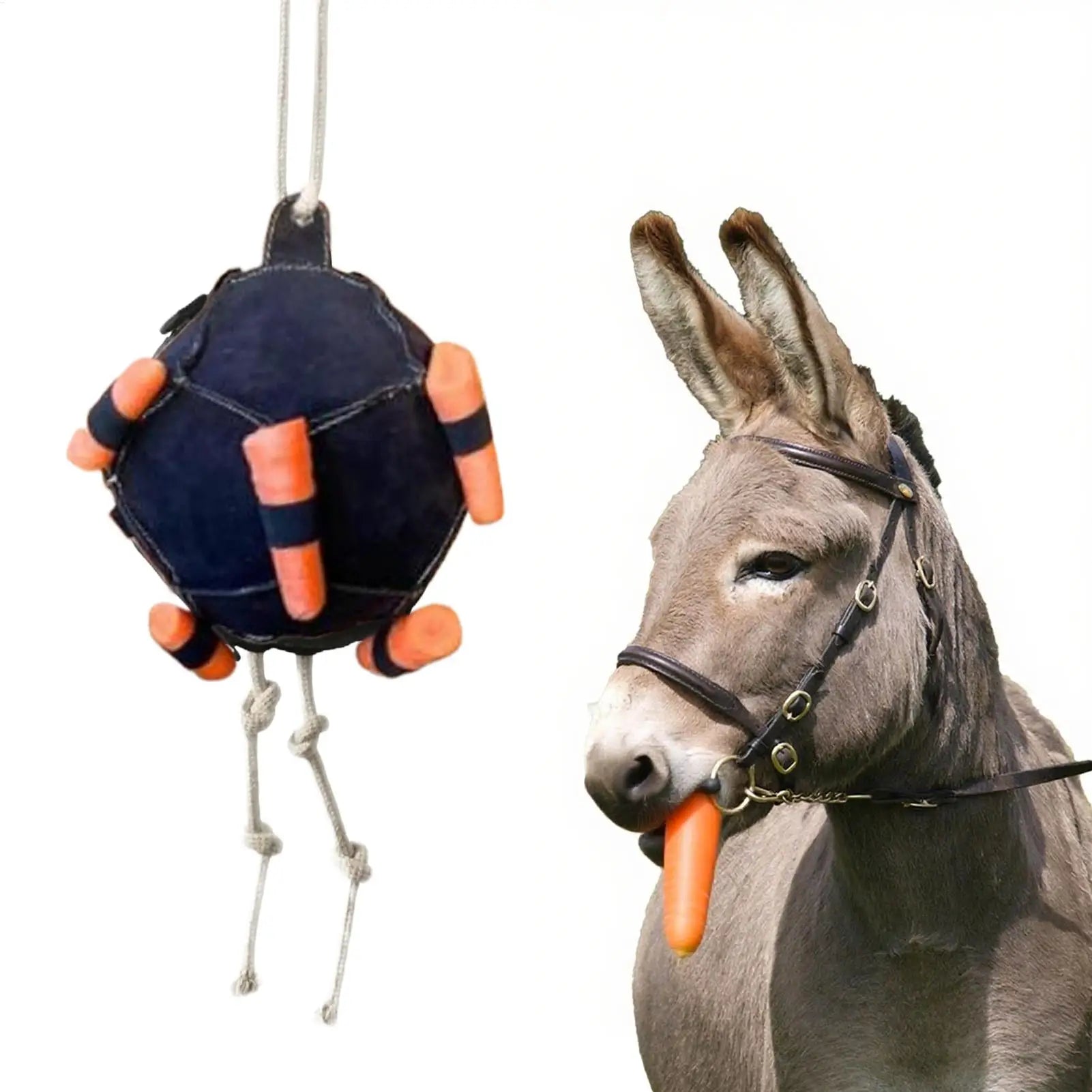 Horse Interactive Carrot Training
