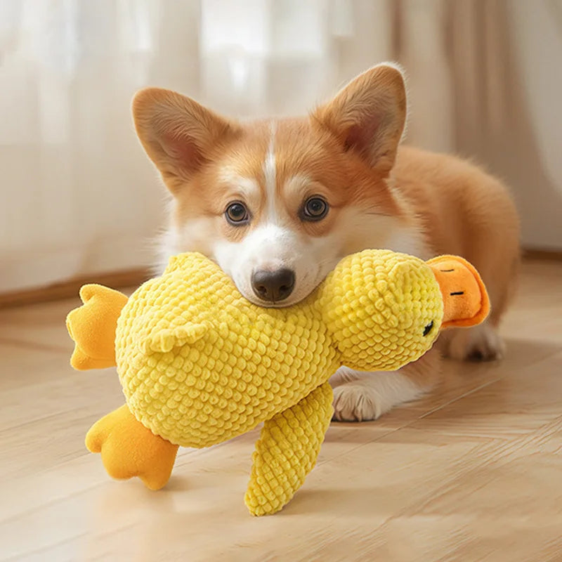 Toys for Aggressive Chewers Cats Dogs