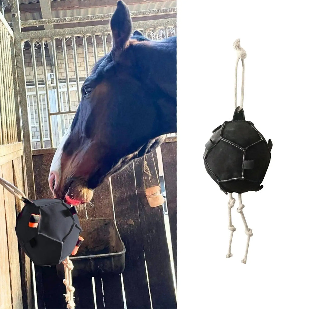 Horse Interactive Carrot Training