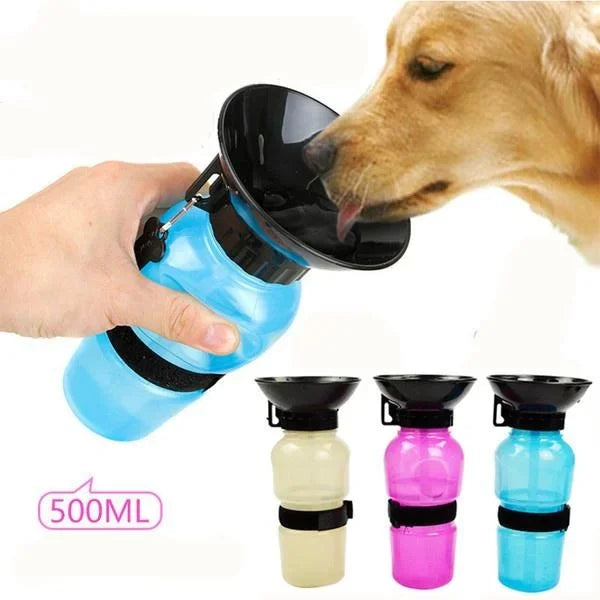 Portable Water Bottle