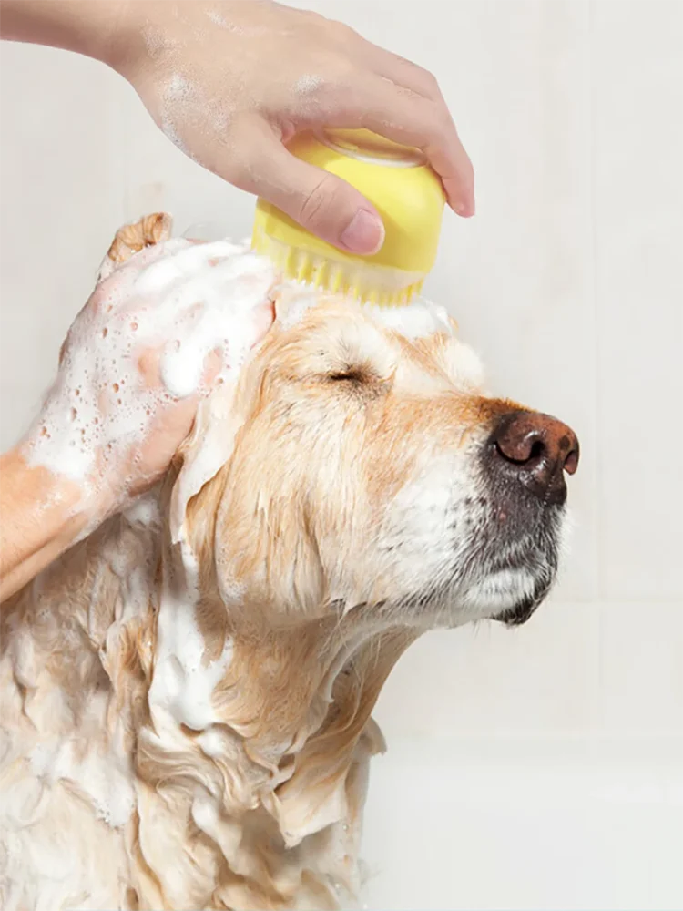 New Bath Massage Brush Bathroom