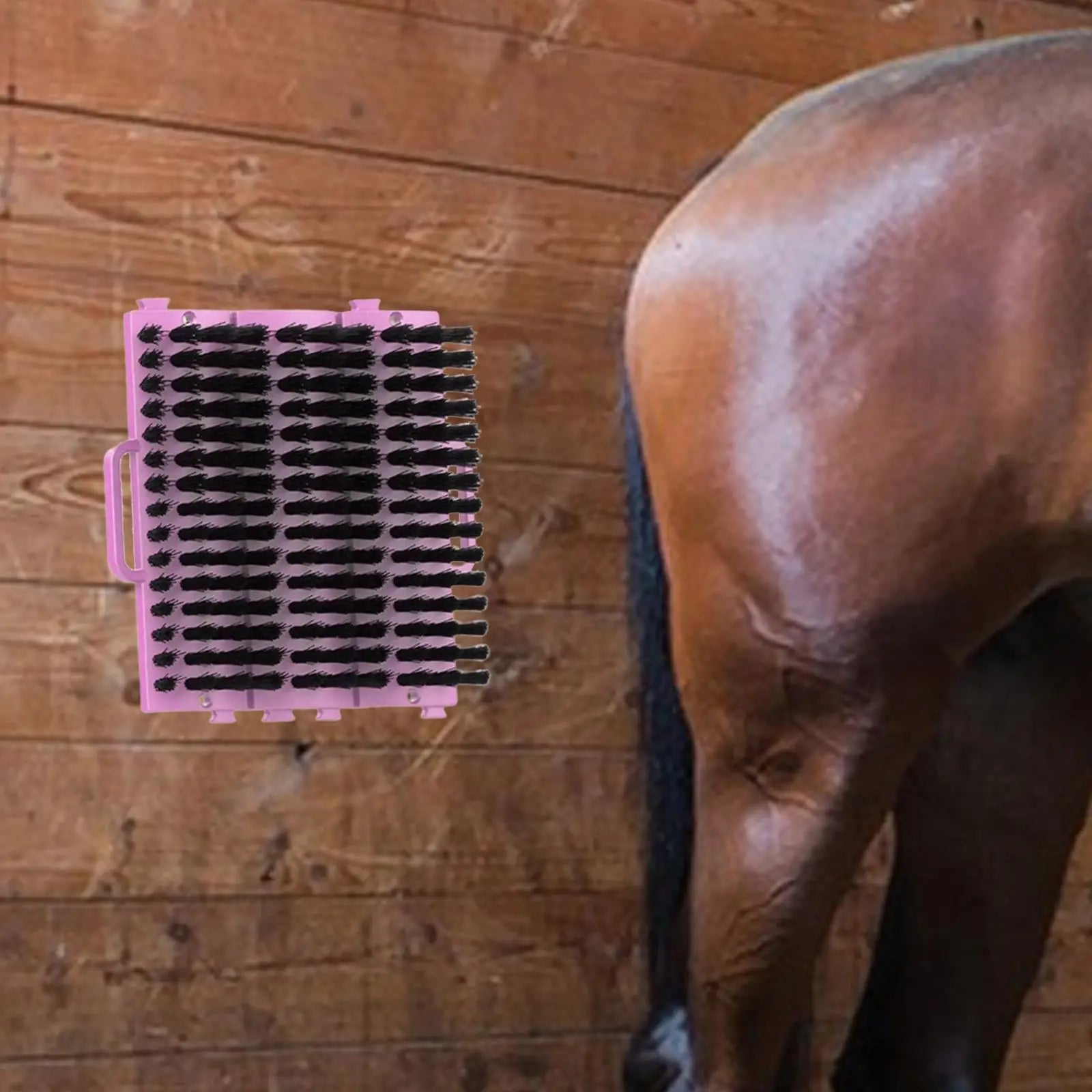Horse Brush